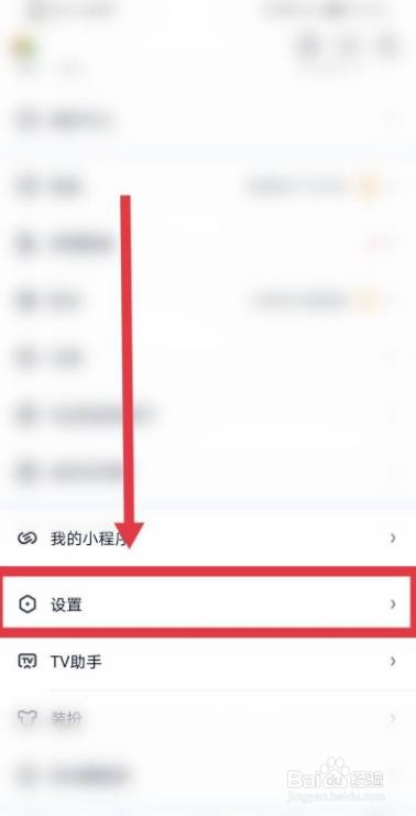 爱奇艺怎么开启夜间免打扰功能