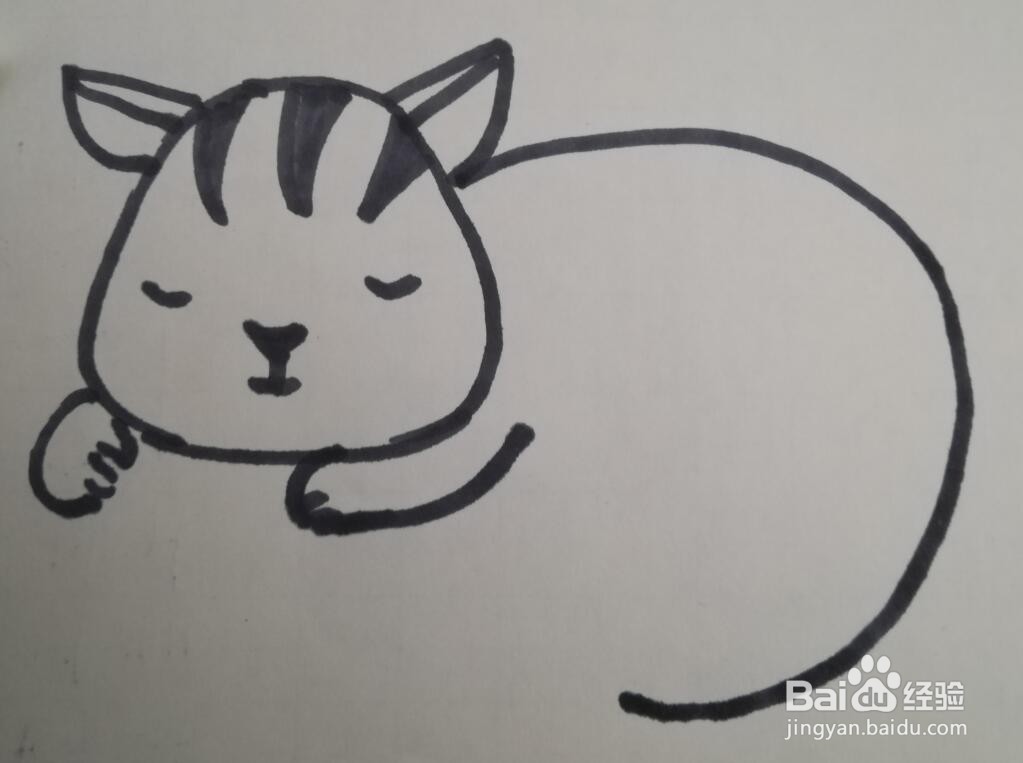 小猫的画法 小猫的简笔画