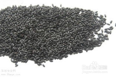 冬季养肾要靠吃 9种食物吃出好肾