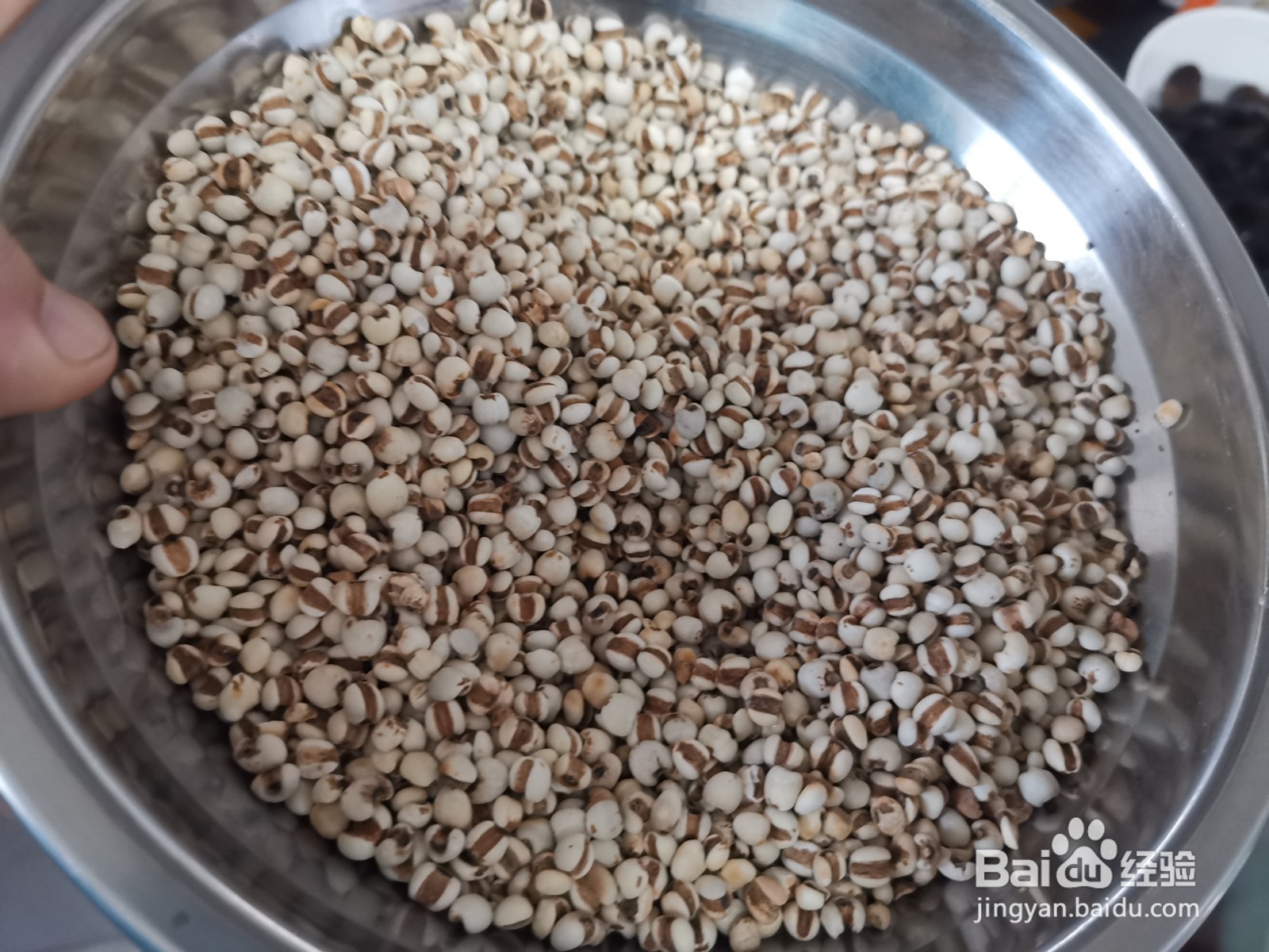 生薏米炒熟的方法