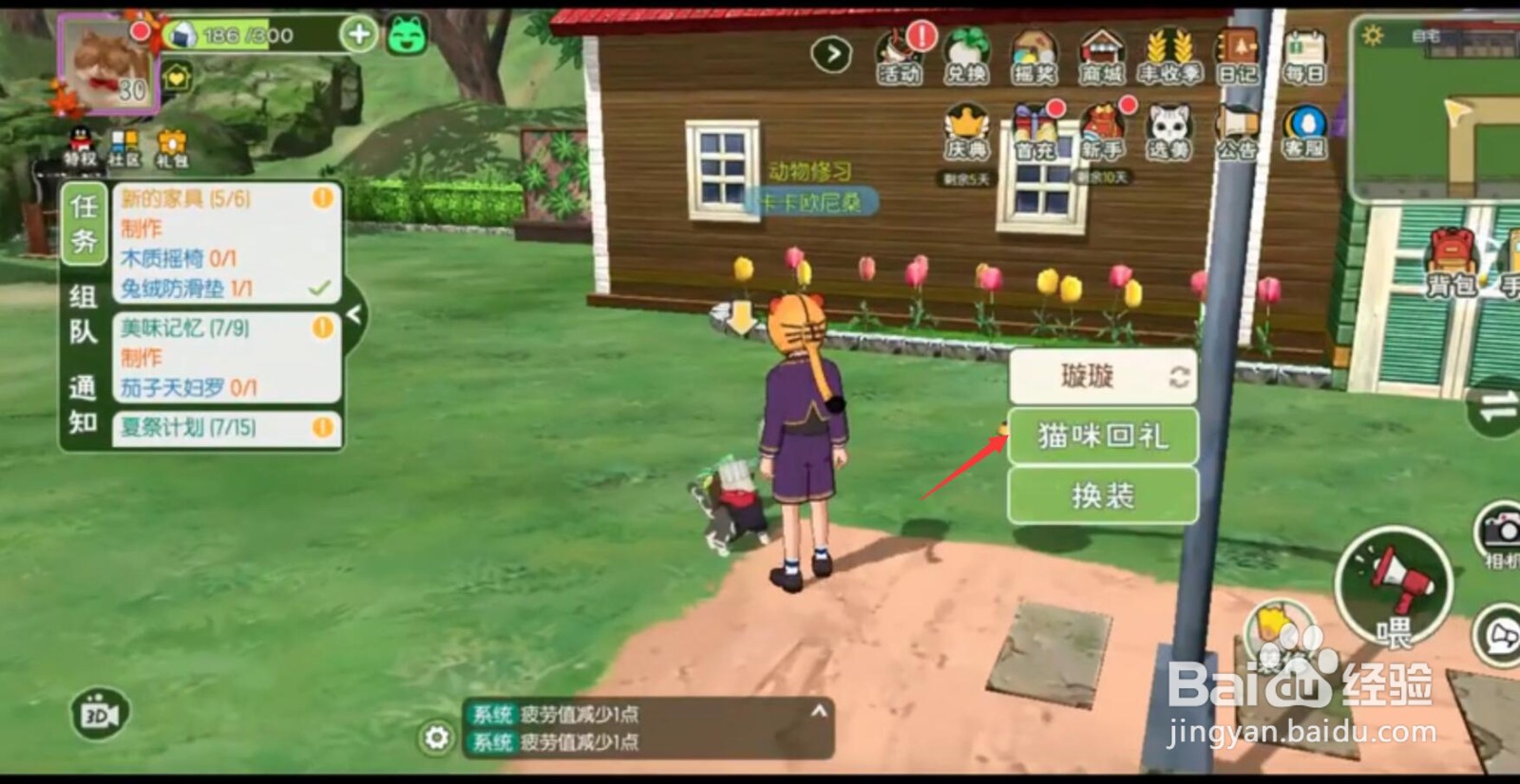 小森生活怎么养猫