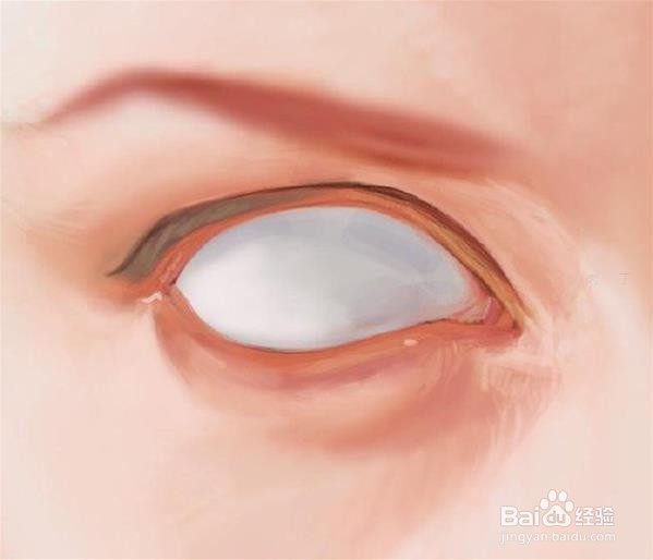 PS插画写实眼睛画法详细步骤图解教程