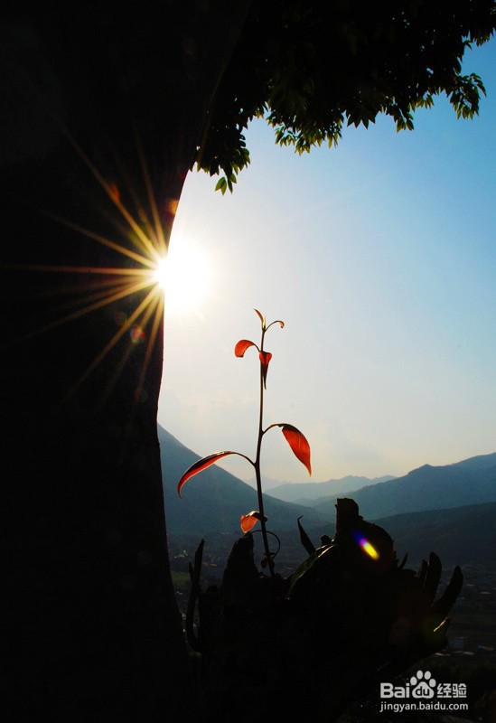 打架拿刀吓人怎么处理