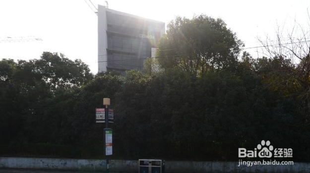 世季假日酒店到迪士尼路线