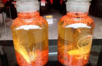 枸杞的滋补作用以及做法