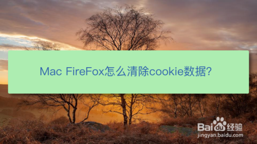 Mac FireFox怎么清除cookie数据？