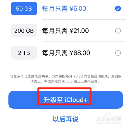 苹果花了6元购买内存怎么用