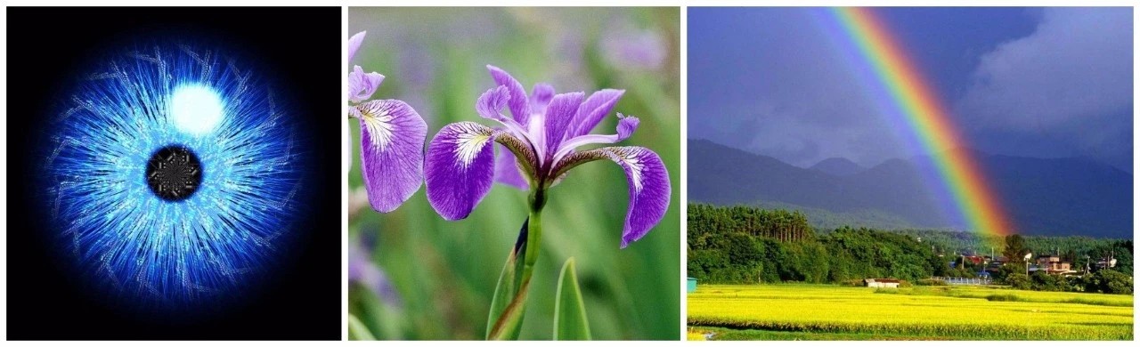 比较唯美的英文词语..