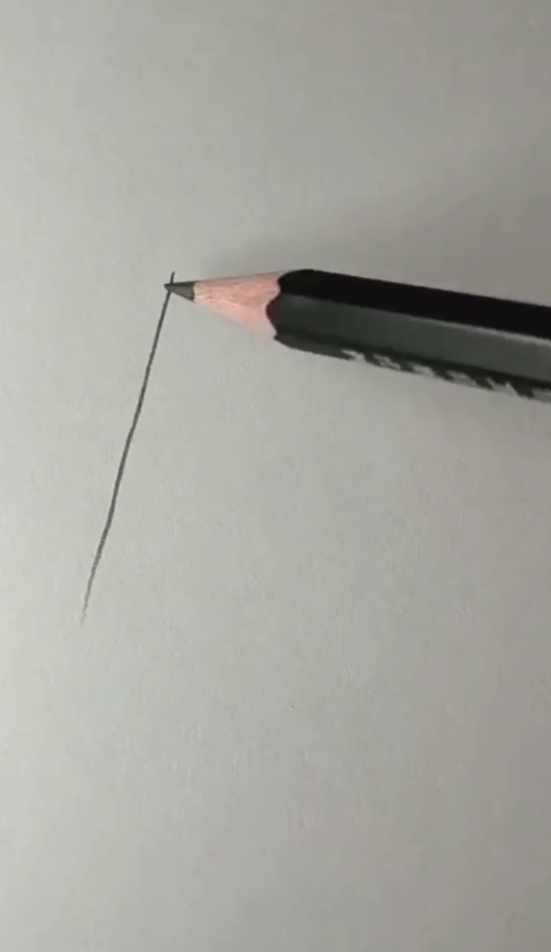 简笔画小鸟怎么画