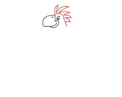 简笔画---怎么画鹦鹉