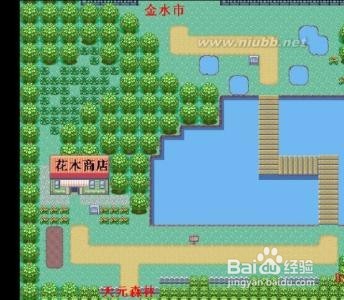 究极绿宝石攻略