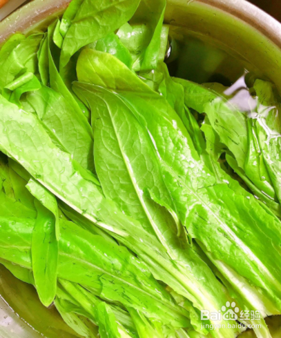 家常菜：沙姜油麦菜