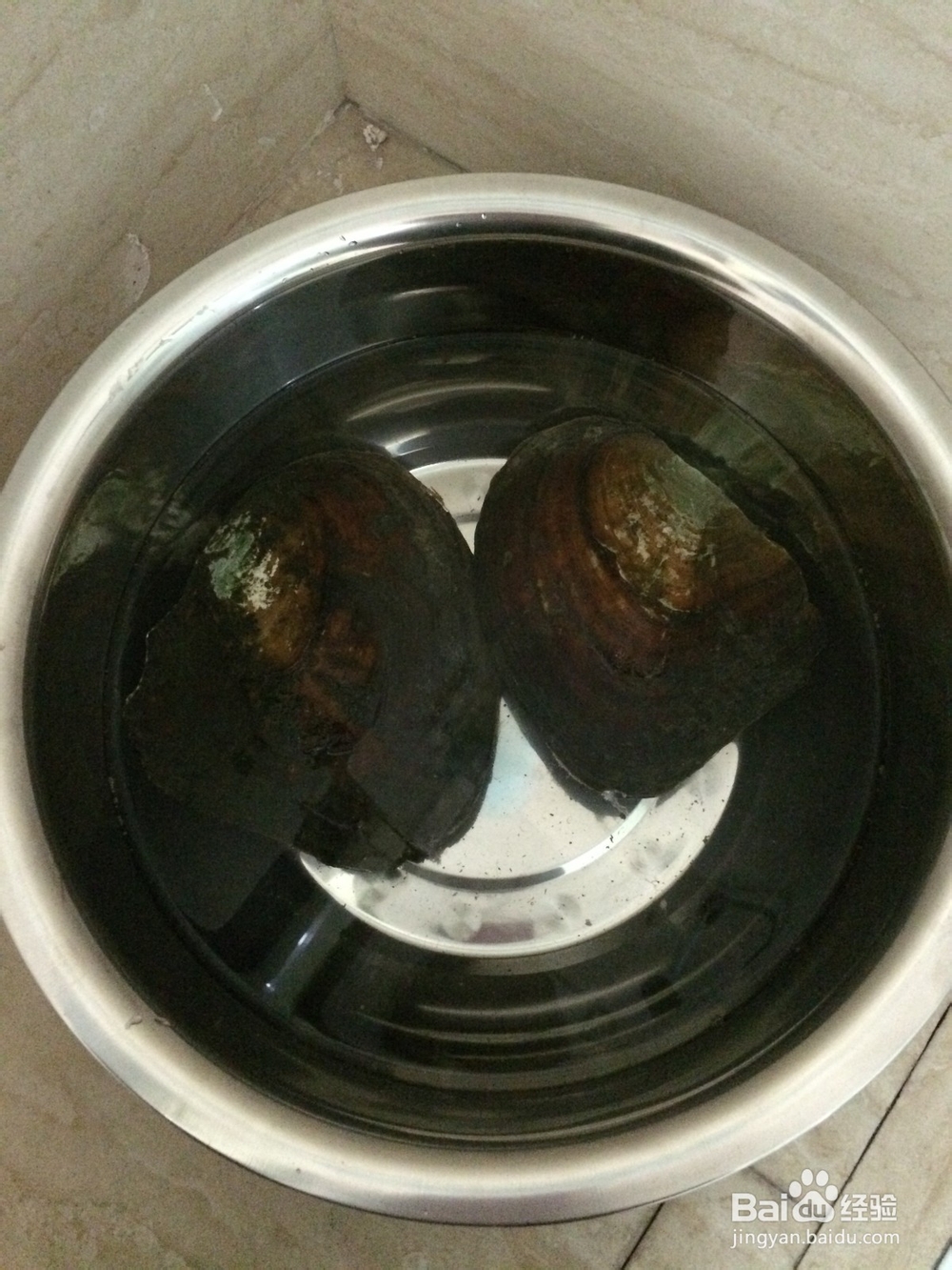 珍珠的取得过程