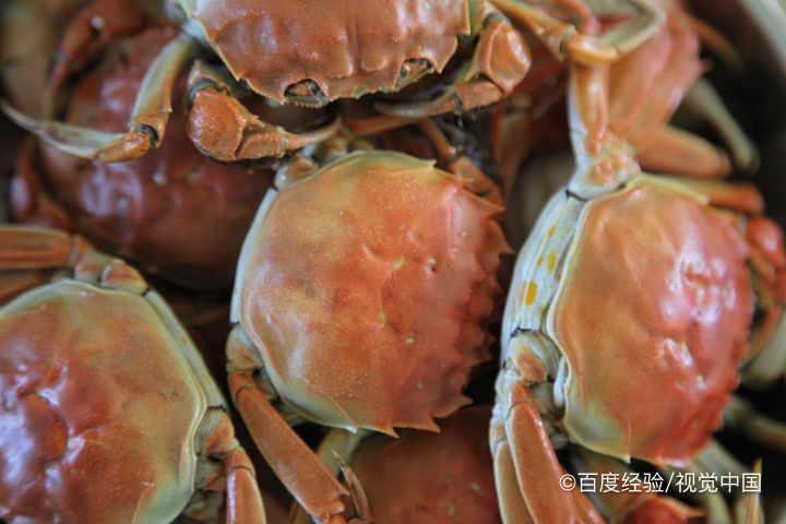 大闸蟹怎么寄快递不死