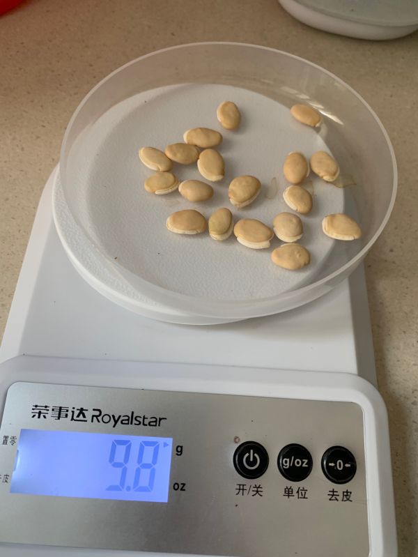 茯苓薏米莲子汤