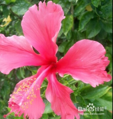 如何在图片上加水印