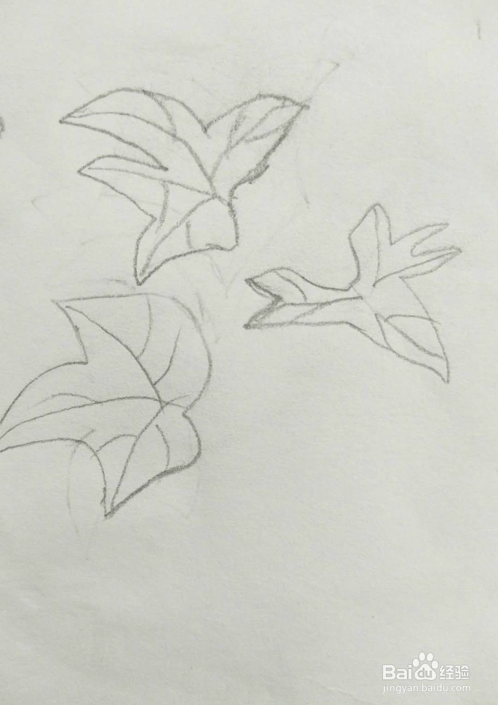 简笔画黄瓜怎么画呢