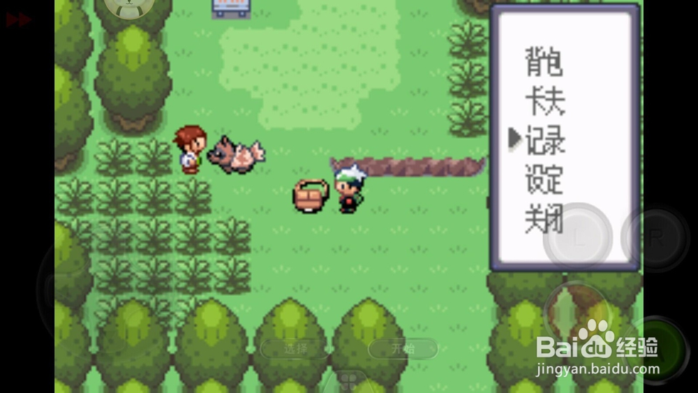 口袋妖怪绿宝石初始精灵水跃鱼性格选择。