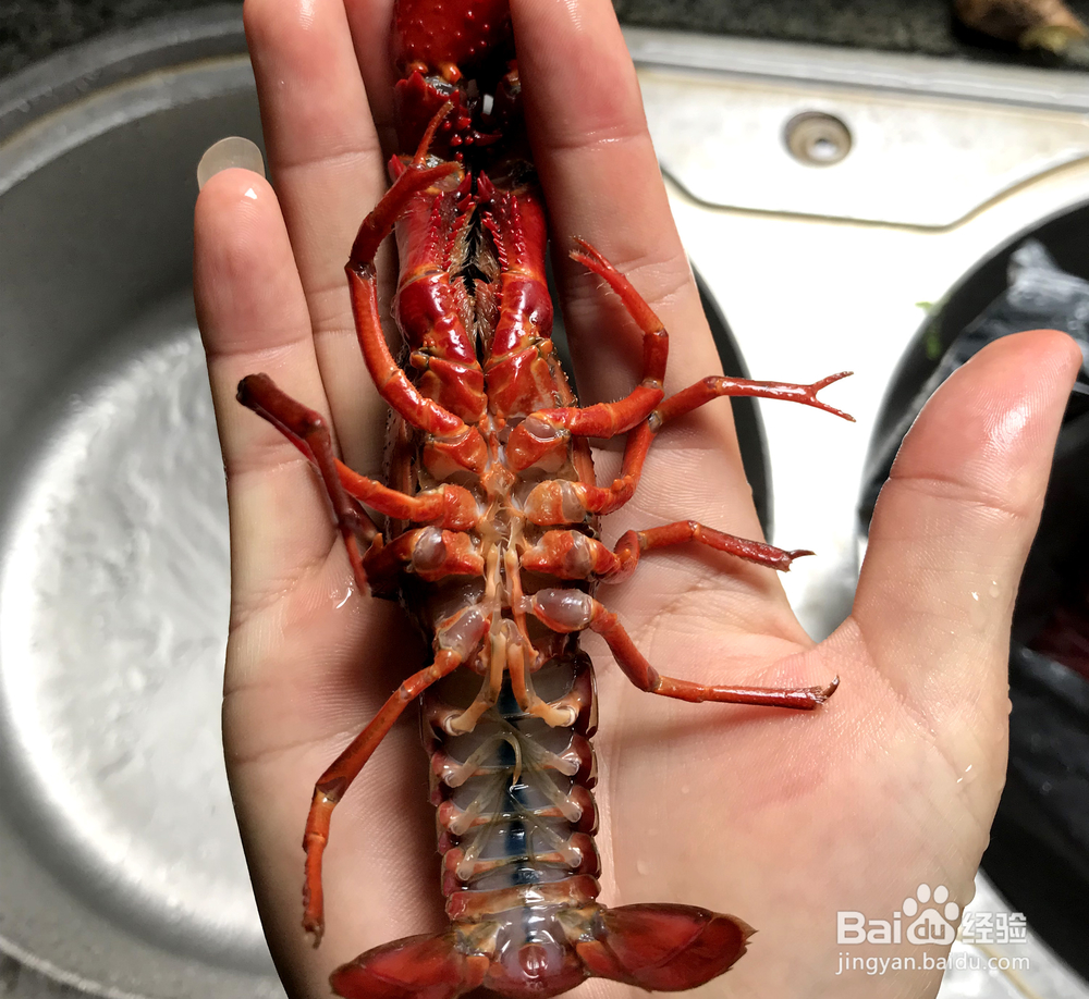 在家做麻辣小龙虾