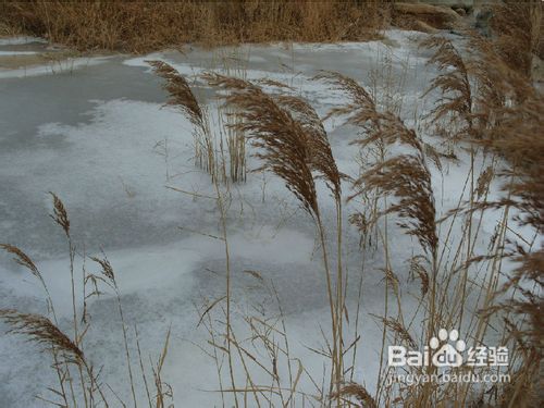一九二九怎么算的