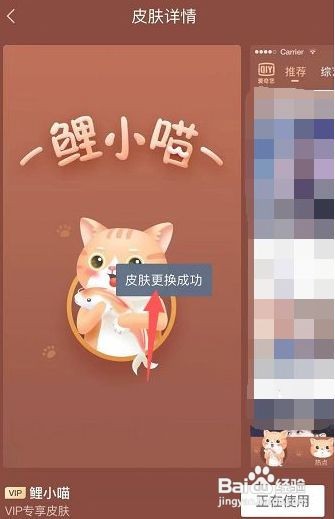 爱奇艺怎么更换皮肤