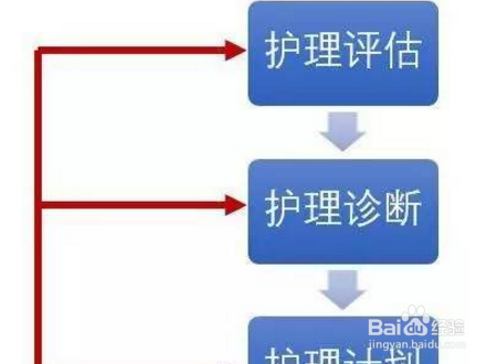 归纳护理程序的基本步骤及主要内容