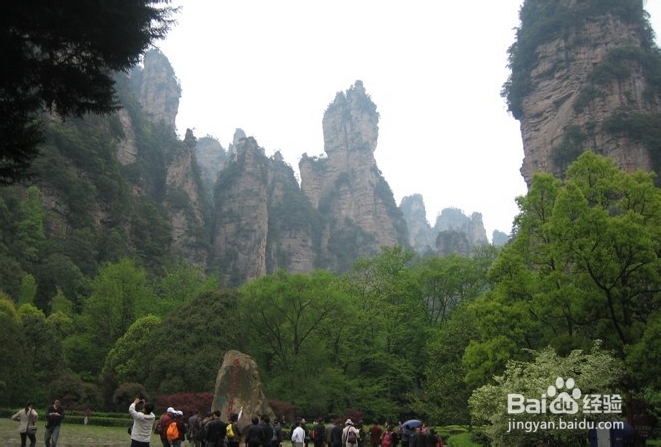 萍乡到张家界自驾游