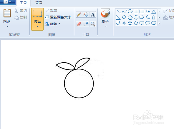 用电脑画白萝卜简笔画