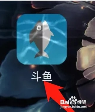 斗鱼软件怎样查看离线缓存