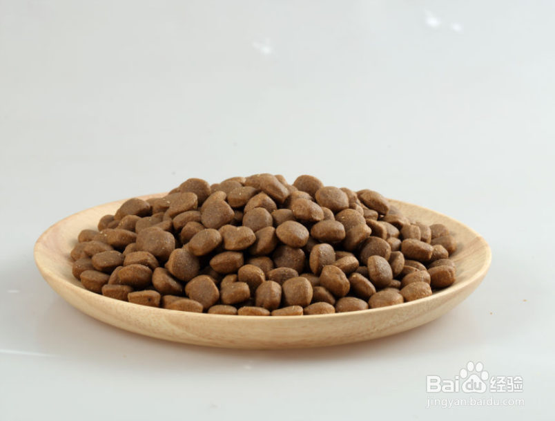 博美犬掉毛严重怎么办