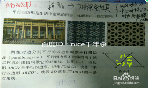 平行四边形的性质(试讲稿)