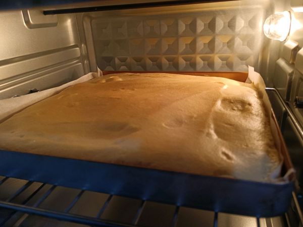蔓越莓果汁蛋糕卷