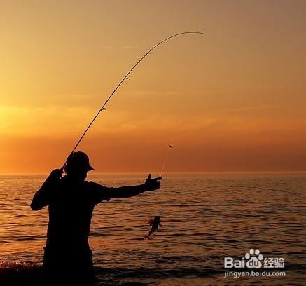 秋季夜钓技巧大全（2）