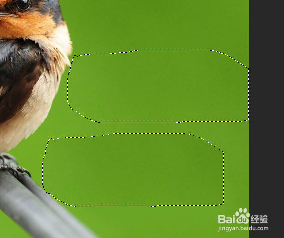 photoshop如何使用修补工具去除照片水印。