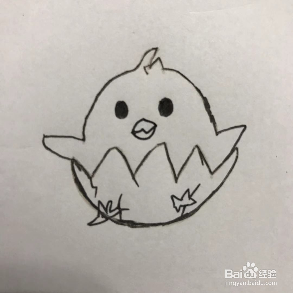 简单易学画破蛋壳的小鸡仔