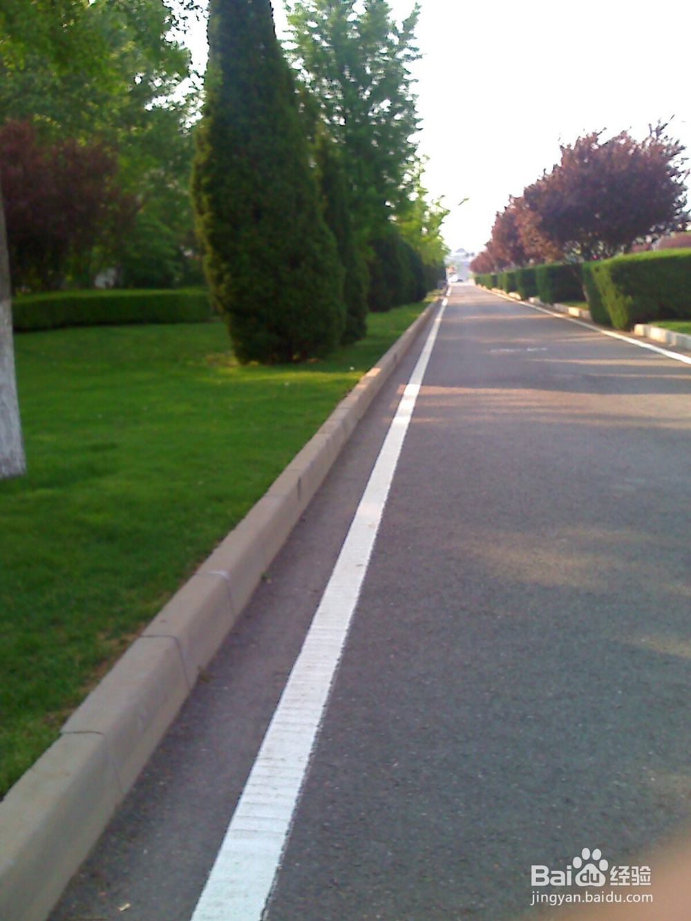 怎样孩子发挥想象力--走“平衡木”