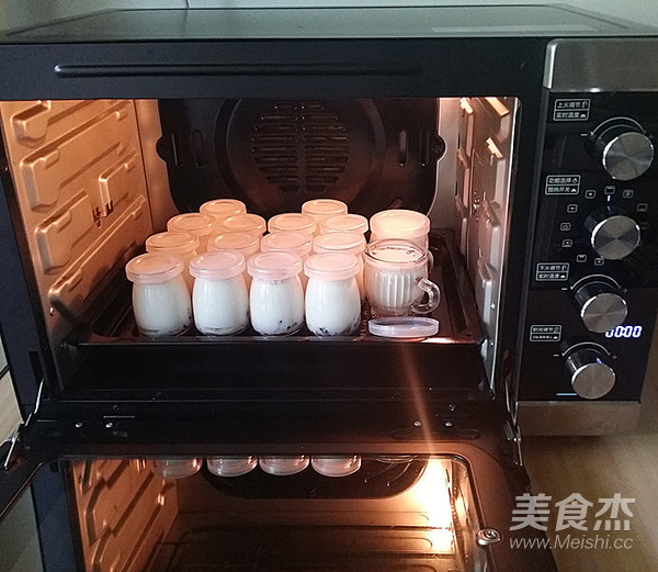 蔓越莓酸奶的做法