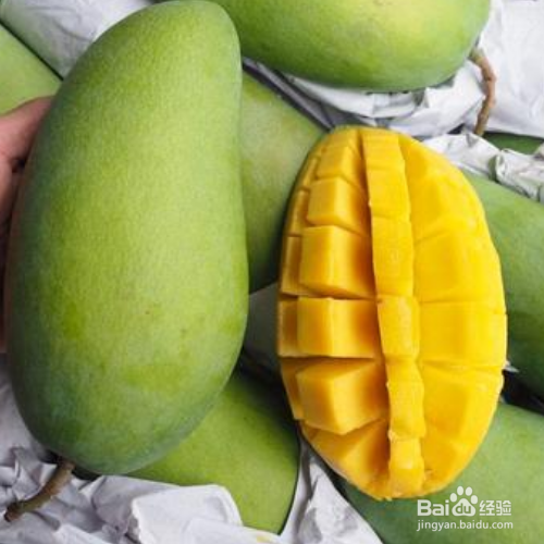 芒果有油漆味是怎么回事