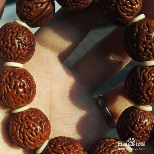 黄桃核怎么种出黄桃