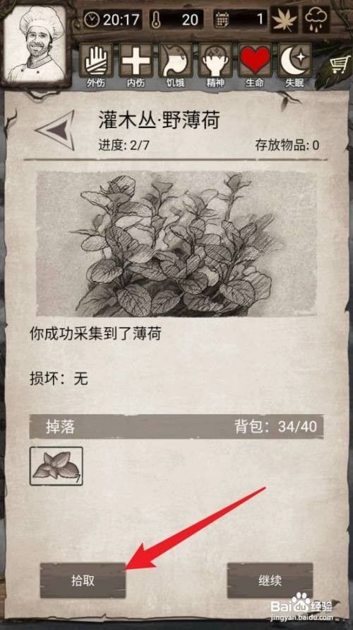 荒野日记:孤岛薄荷如何获得