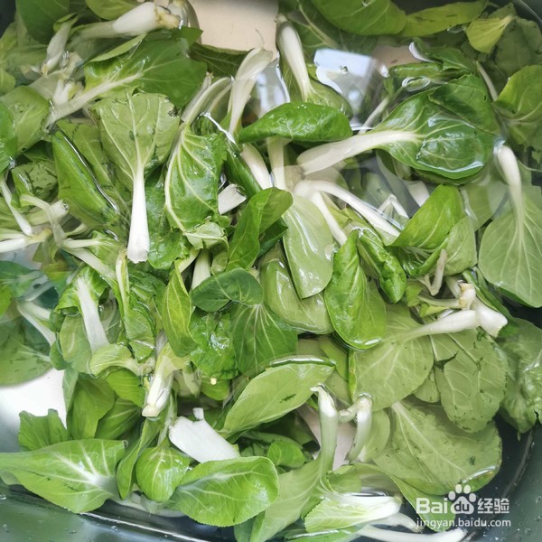 蒜蓉小青菜的做法