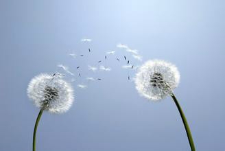 老年大便困难怎么办好?