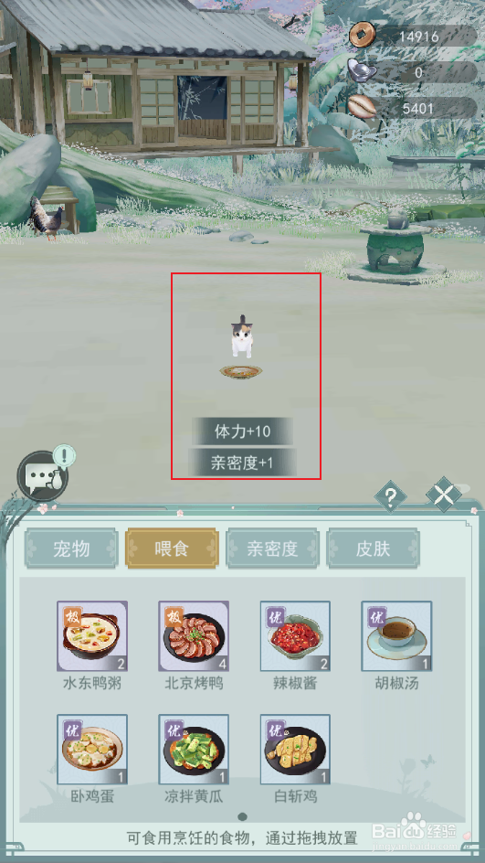 怎么让猫咪胃口大开