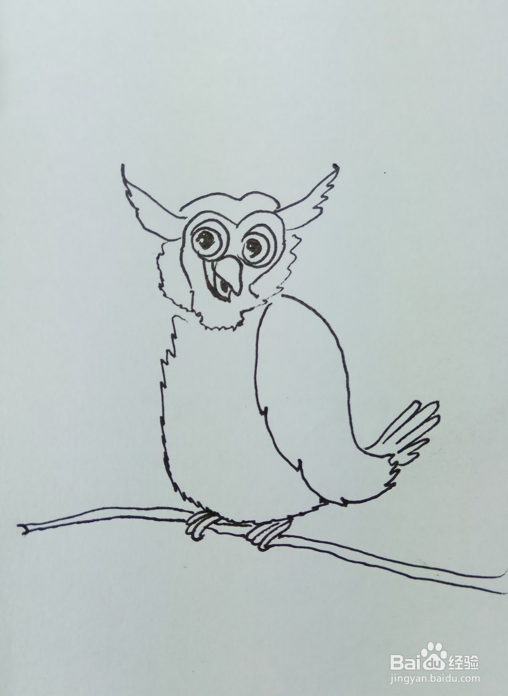 怎样画简笔画“老鼠最怕的猫头鹰”？