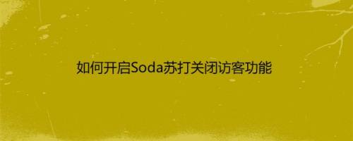 如何开启Soda苏打关闭访客功能