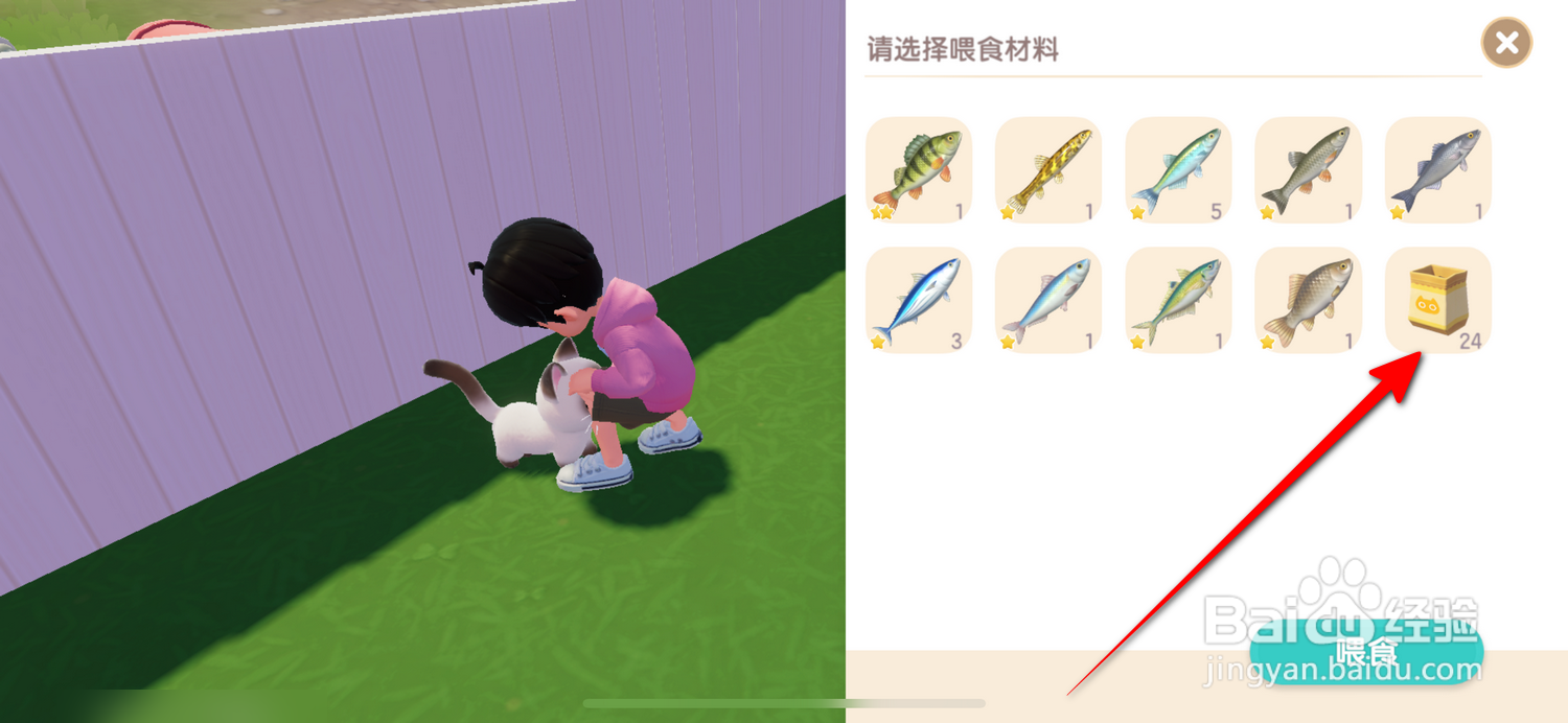 心动小镇怎么喂猫
