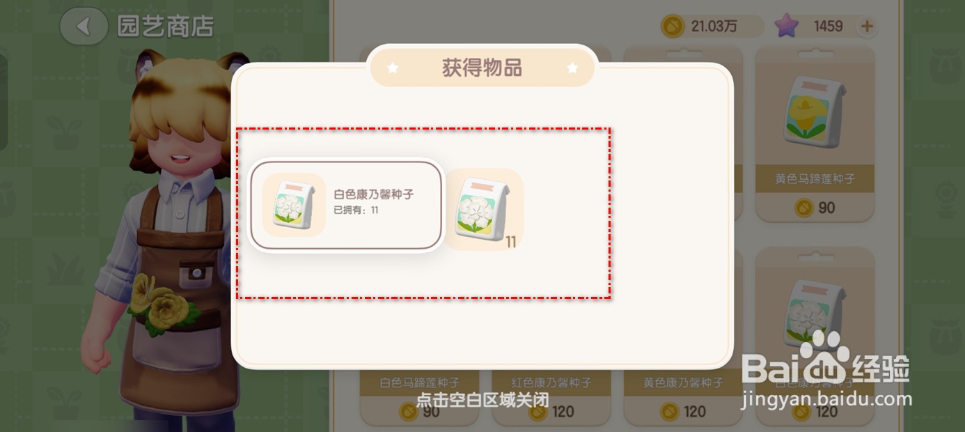 心动小镇如何获得白色康乃馨种子