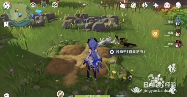 原神梦里生花活动怎么种花
