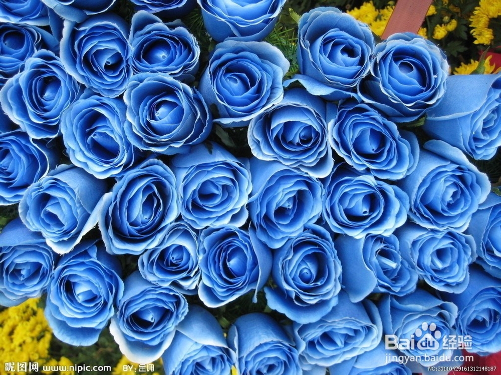 送女朋友礼物要了解，千万别送错咯！