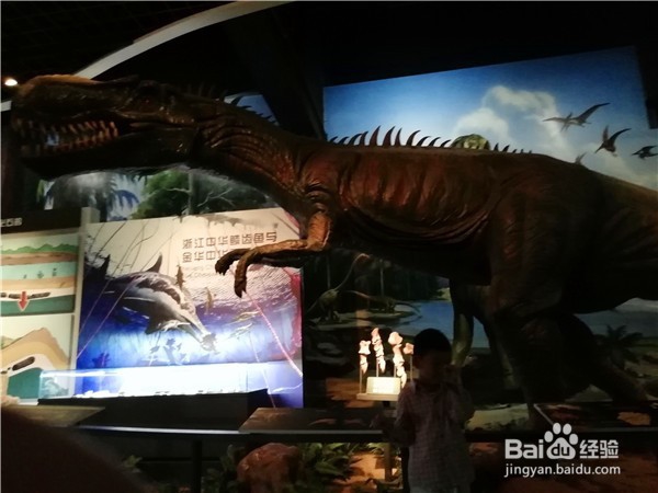 带孩子了解本地历史——参观金华博物馆